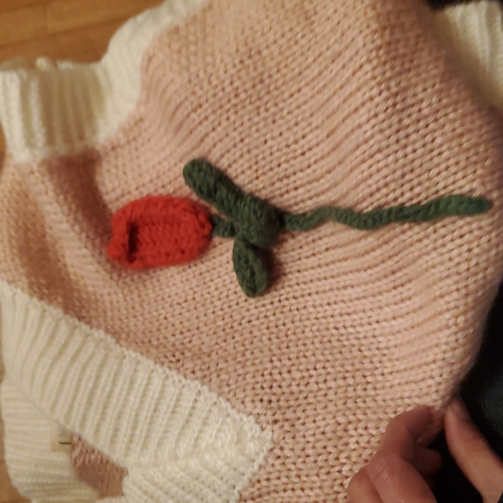 PINK RIPPLE SIZE XL Pink and White Sweater Vest with Rose Embroidery - Picture 10 of 10